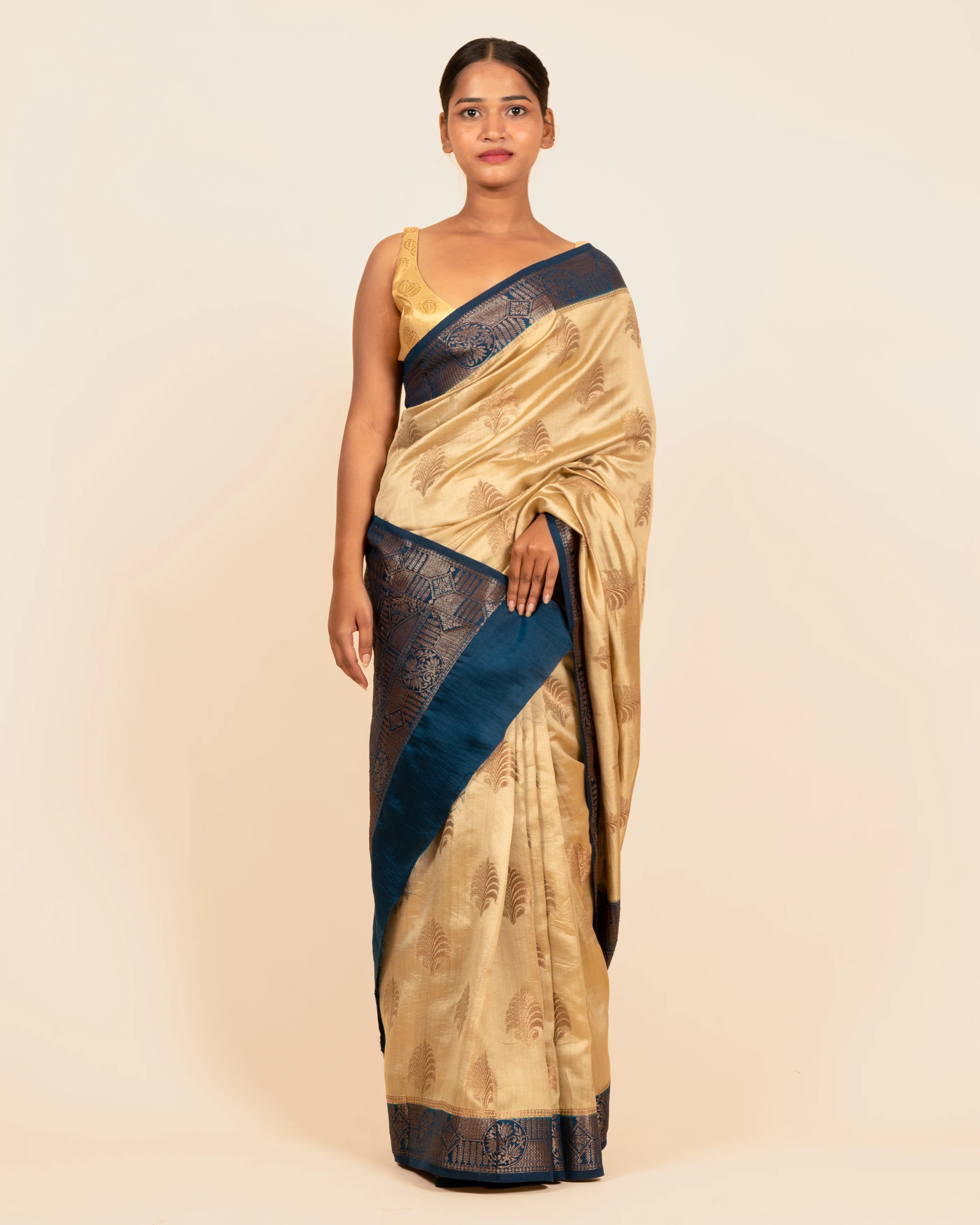 Pastel Dreams Butis & Stone work Chickoo Chiniya Saree